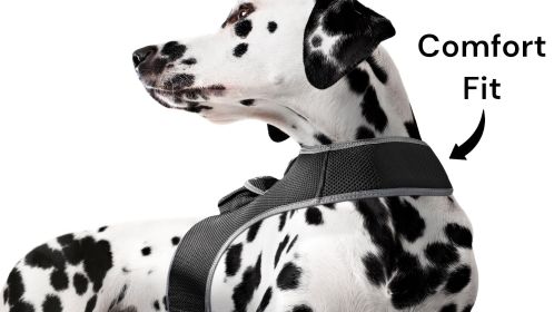 Mini GPS Cat Tracker Waterproof Collar Mount Realtime Tracking Device Size:L