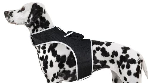 Keep Your Pet Safe with Portable Mini Realtime GSM GPRS Pet GPSTracker Size:L