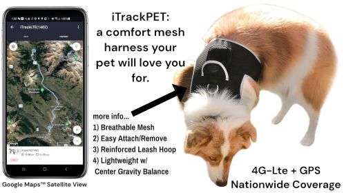 NEW Buckle Clipped Dog Track Portable GPS GSM Location Tracking Device Size:L
