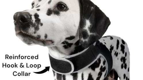 iPhone/Android Compatible Mini Waterproof GSM GPRS Pet Tracking Device Size:L