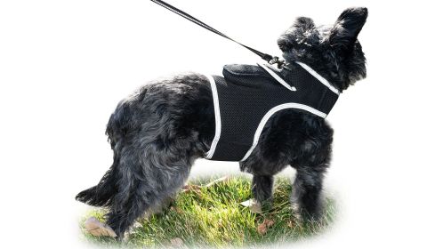 Lesser Cost Pet Surveillance System Pet Tracker GPS Tracker for Dog Collar Size:L
