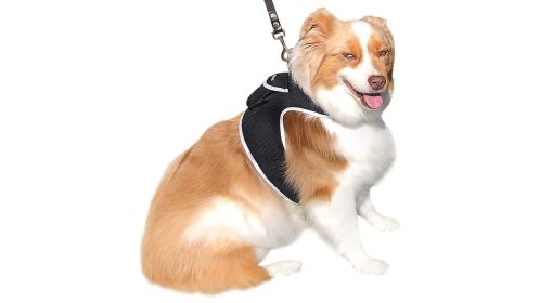 Long Range Surveillance Rechargeable GSM GPRS GPS Tracker Pets System Size:L