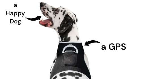 GPS Wireless Pet Tracker Waterproof GSM/GPS Realtime Tracking Device Size:L